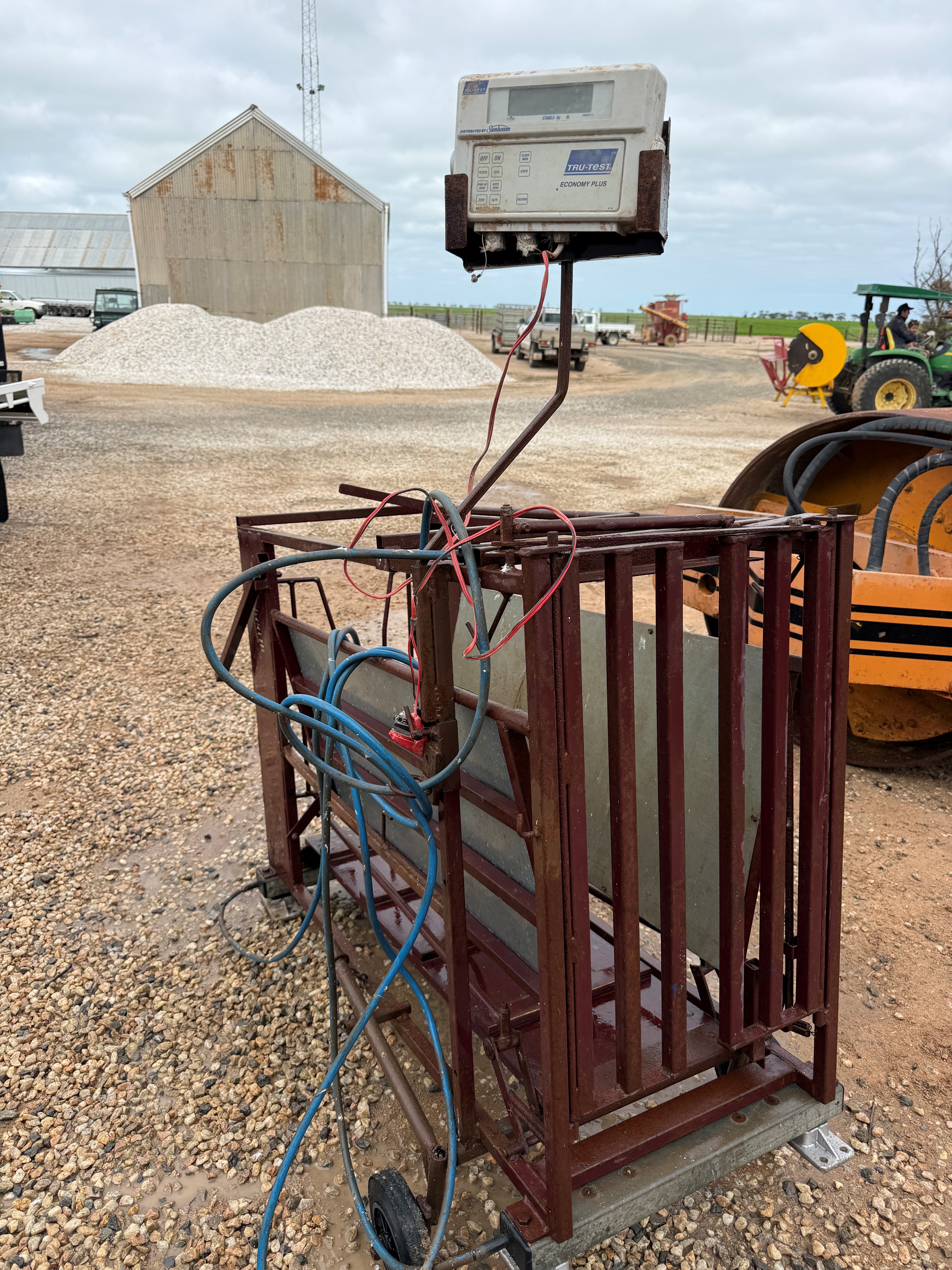 Sheep weigh scales